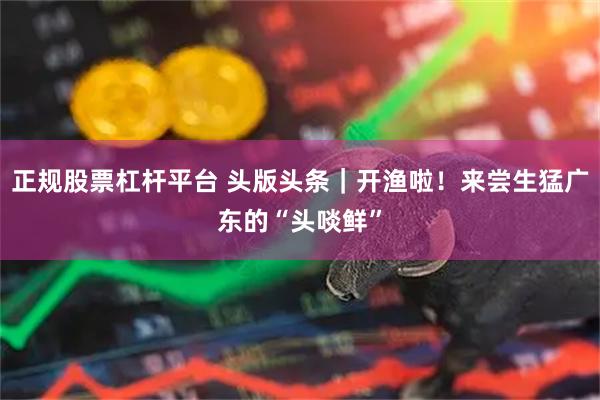正规股票杠杆平台 头版头条｜开渔啦！来尝生猛广东的“头啖鲜”